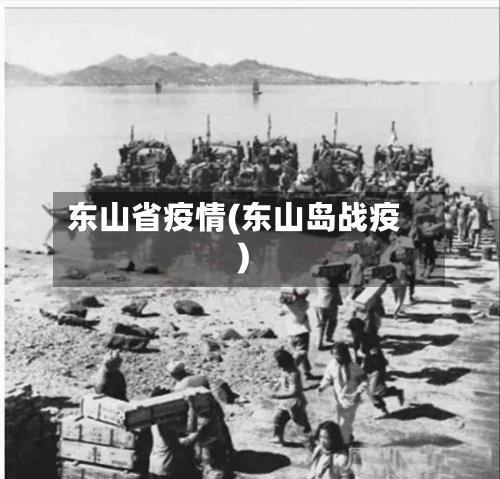东山省疫情(东山岛战疫)-第2张图片
