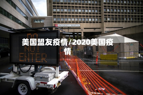 美国盟友疫情/2020美国疫情-第2张图片