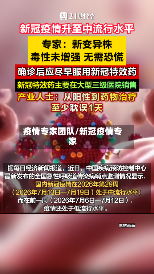 疫情专家团队/新冠疫情专家