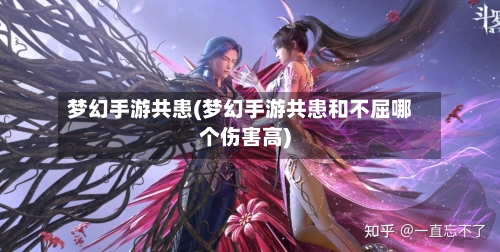 梦幻手游共患(梦幻手游共患和不屈哪个伤害高)