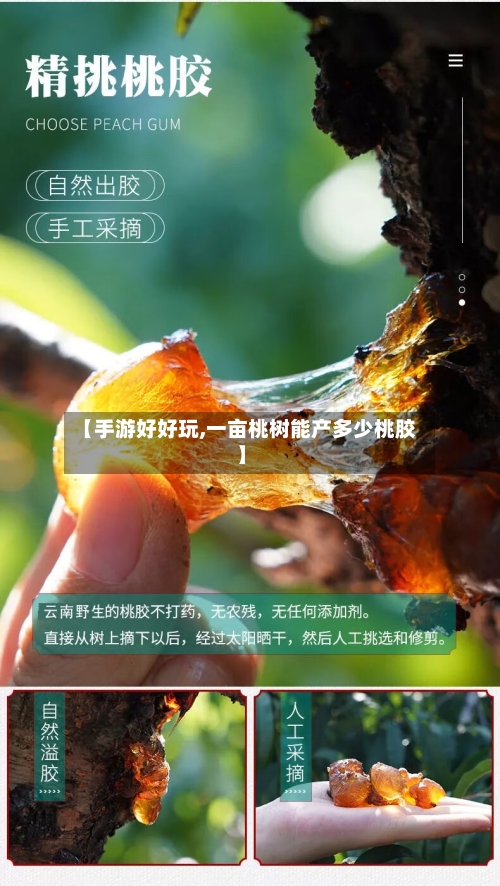 【手游好好玩,一亩桃树能产多少桃胶】-第2张图片
