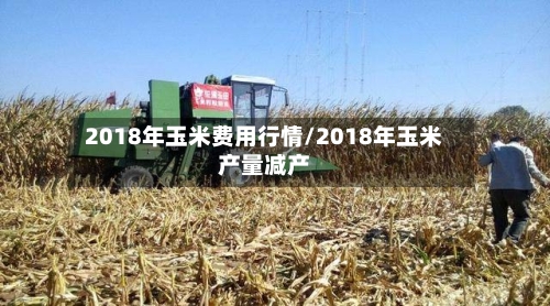 2018年玉米费用行情/2018年玉米产量减产