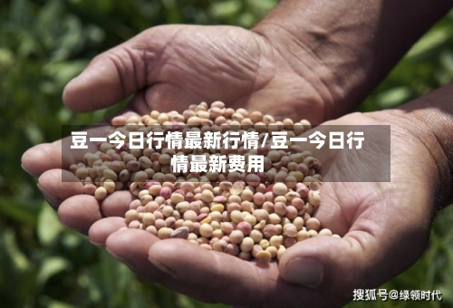 豆一今日行情最新行情/豆一今日行情最新费用