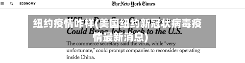 纽约疫情咋样(美国纽约新冠状病毒疫情最新消息)-第2张图片