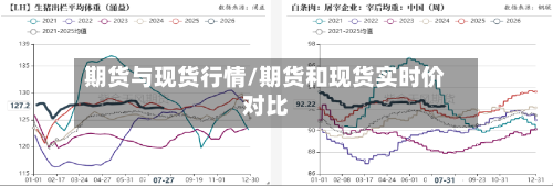 期货与现货行情/期货和现货实时价对比
