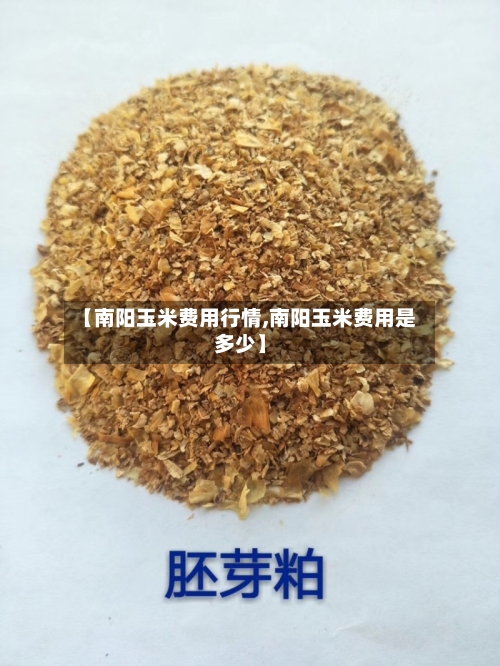 【南阳玉米费用行情,南阳玉米费用是多少】-第2张图片
