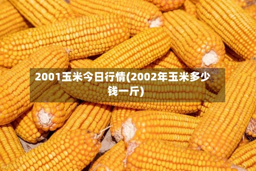 2001玉米今日行情(2002年玉米多少钱一斤)-第2张图片