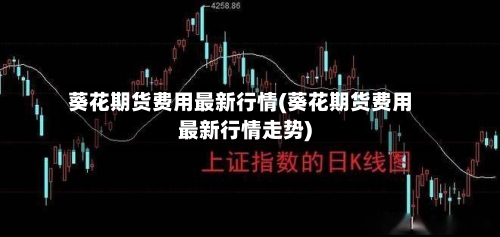 葵花期货费用最新行情(葵花期货费用最新行情走势)-第2张图片