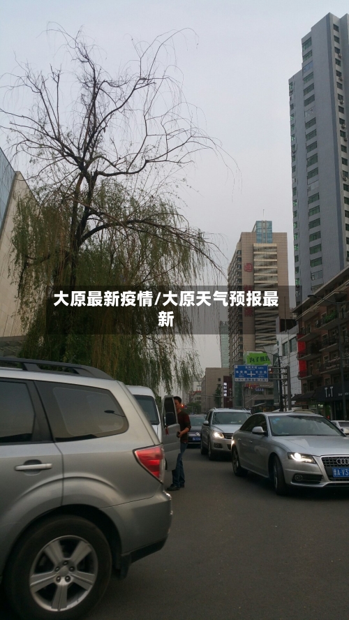 大原最新疫情/大原天气预报最新-第2张图片