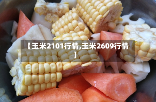 【玉米2101行情,玉米2609行情】