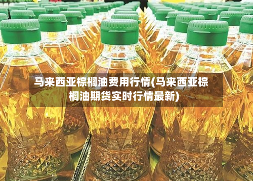马来西亚棕榈油费用行情(马来西亚棕榈油期货实时行情最新)