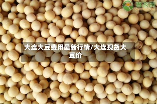 大连大豆费用最新行情/大连现货大豆价-第3张图片
