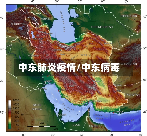 中东肺炎疫情/中东病毒