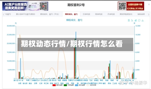 期权动态行情/期权行情怎么看