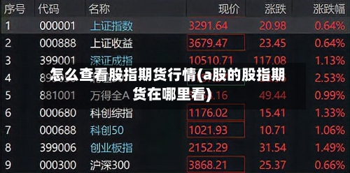 怎么查看股指期货行情(a股的股指期货在哪里看)-第2张图片