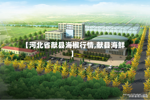 【河北省献县海椒行情,献县海鲜】-第2张图片