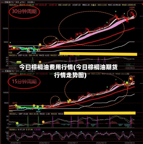 今曰棕榈油费用行情(今日棕榈油期货行情走势图)