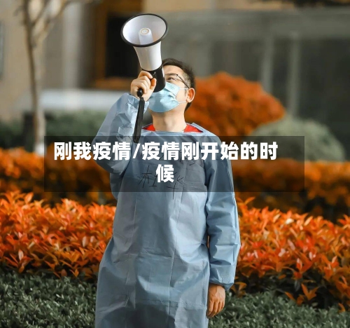 刚我疫情/疫情刚开始的时候