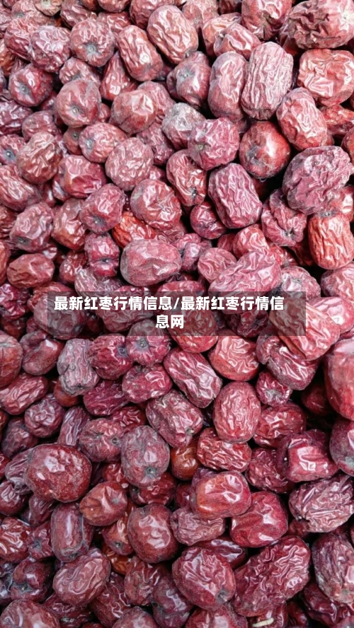 最新红枣行情信息/最新红枣行情信息网