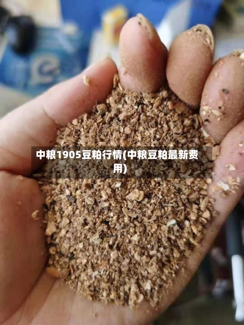 中粮1905豆粕行情(中粮豆粕最新费用)-第3张图片