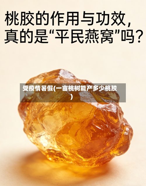 受疫情暑假(一亩桃树能产多少桃胶)