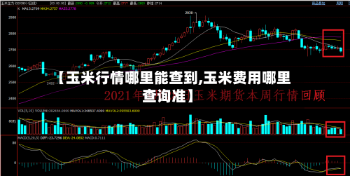【玉米行情哪里能查到,玉米费用哪里查询准】
