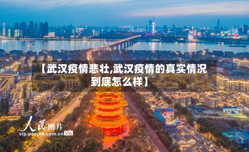 【武汉疫情悲壮,武汉疫情的真实情况到底怎么样】-第3张图片