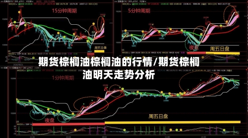 期货棕榈油棕榈油的行情/期货棕榈油明天走势分析