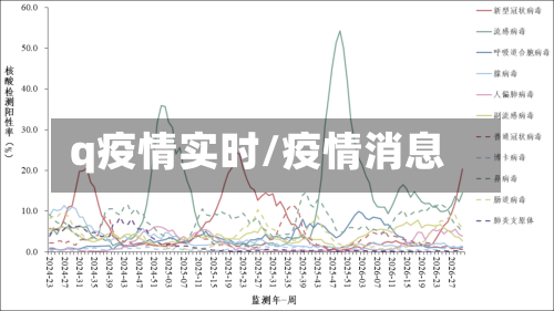 q疫情实时/疫情消息