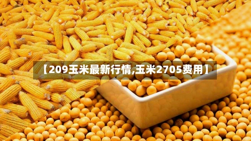 【209玉米最新行情,玉米2705费用】