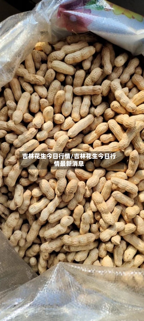 吉林花生今日行情/吉林花生今日行情最新消息-第3张图片