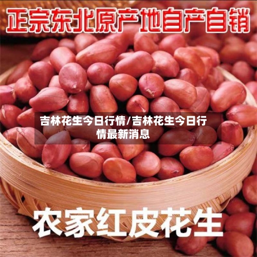 吉林花生今日行情/吉林花生今日行情最新消息