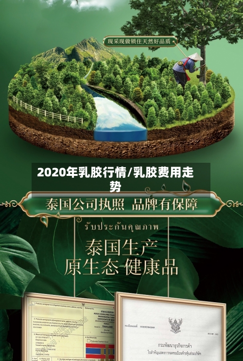 2020年乳胶行情/乳胶费用走势