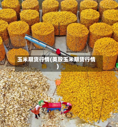 玉米期货行情(美股玉米期货行情)