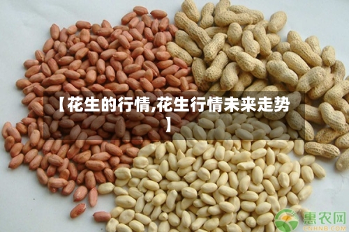 【花生的行情,花生行情未来走势】