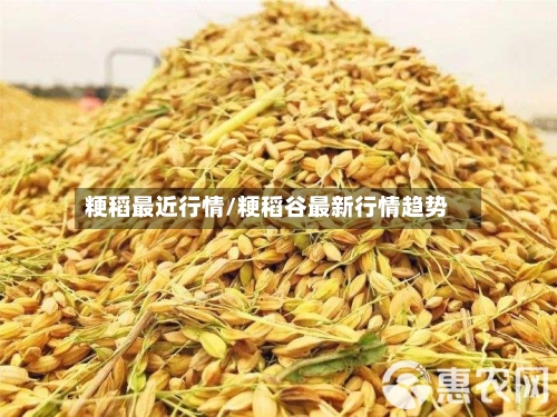 粳稻最近行情/粳稻谷最新行情趋势