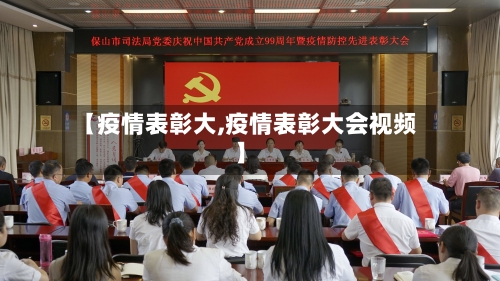 【疫情表彰大,疫情表彰大会视频】-第2张图片