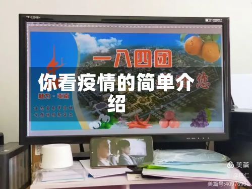 你看疫情的简单介绍