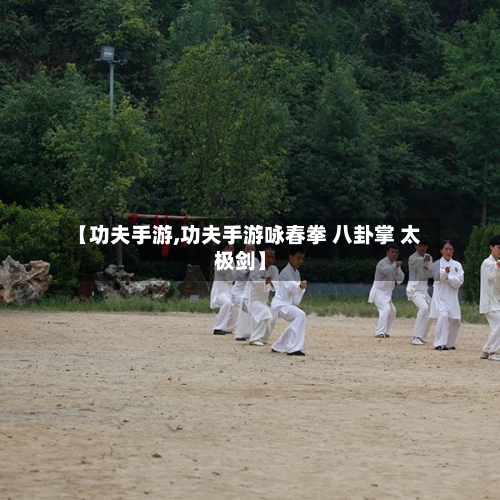 【功夫手游,功夫手游咏春拳 八卦掌 太极剑】