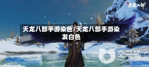天龙八部手游染色/天龙八部手游染发白色