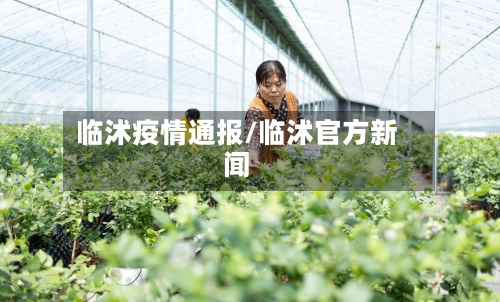 临沭疫情通报/临沭官方新闻-第3张图片