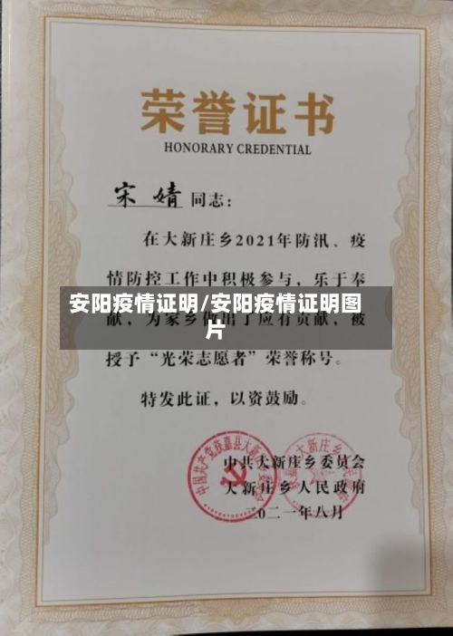 安阳疫情证明/安阳疫情证明图片-第2张图片