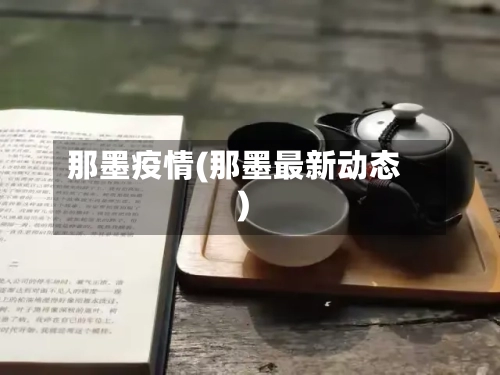 那墨疫情(那墨最新动态)-第3张图片