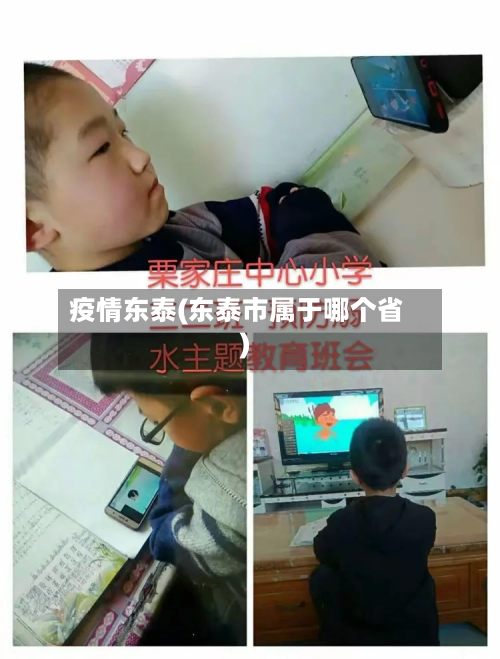 疫情东泰(东泰市属于哪个省)