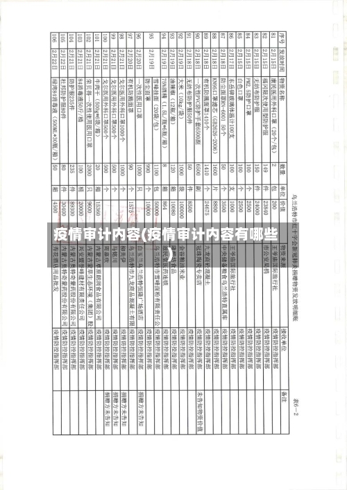 疫情审计内容(疫情审计内容有哪些)-第2张图片