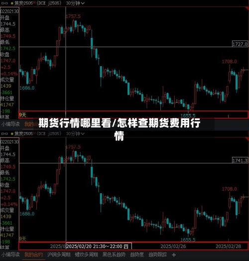 期货行情哪里看/怎样查期货费用行情