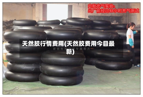 天然胶行情费用(天然胶费用今目最新)-第2张图片