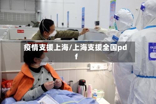 疫情支援上海/上海支援全国pdf-第2张图片