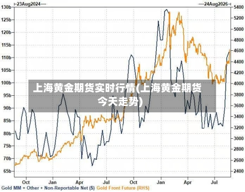 上海黄金期货实时行情(上海黄金期货今天走势)-第3张图片