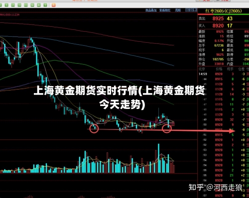 上海黄金期货实时行情(上海黄金期货今天走势)-第2张图片